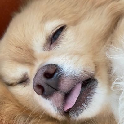 yamato_8h5's profile picture. 春から千葉工業大学Ns学科です！  ゲームよくやってます