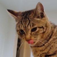 まーくん (@uc16abpafhjdovs) 's Twitter Profile