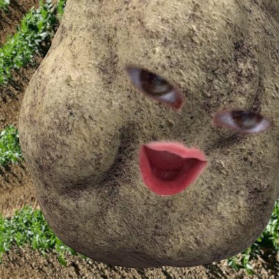 tansuniki's profile picture. 生活に疲れているおばさん 2027Y 情報収集のみでほぼつぶやきません