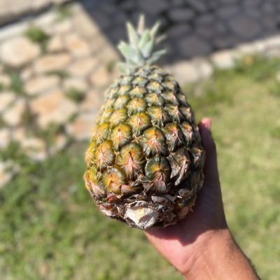 adam__sol's profile picture. Im not a Gen