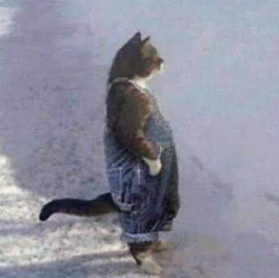 JosiahApollo's profile picture. just a random guy