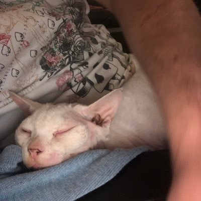 AndyCJIrving1's profile picture. 