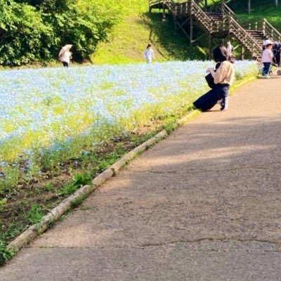 引きこもる方です 鍵なしより落ち着きがないツイートが多いです沼落ち日記みたいになってます 出会ってしまった 実家は月組さん