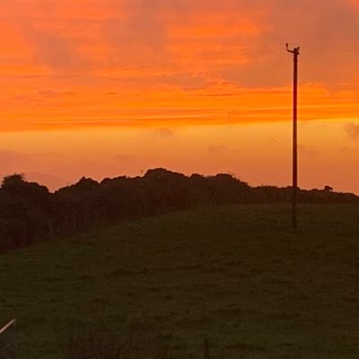 Llio Johnson Profile