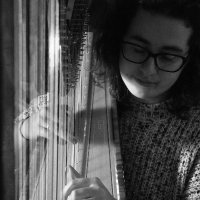 Hannah Ruth Higson Harpist - @HannahRuthHarp Twitter Profile Photo