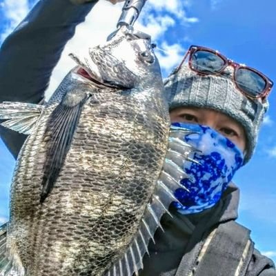 horihoriman0612's profile picture. 趣味:釣り(チヌ🎣アジング✨ショアジギング）アジは29cm止まり
マゴチサイズアップと初ヒラメ頑張ります✨🎣愛犬のこむぎよろしくね🐕🐾🐾（推定2021.11.30生）