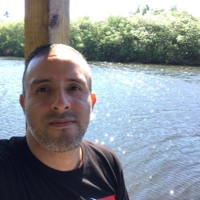 WilfredyBrisman's profile picture. Freeland, Ilustrador, TIS
