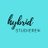 hybridstudieren's profile image