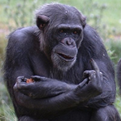 WMfEKNuCz4SraUf's profile picture. ヌカに釘、そこからサビ