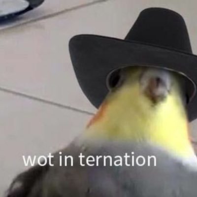 grisstwist's profile picture. 