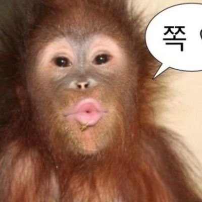 jijibibi6252's profile picture. 백엔드 공부중
컴공 3학년..ㅠㅠ 휴학성공!
infp + 잡소리 많이해요