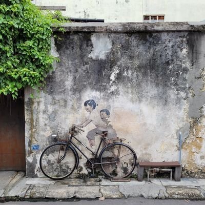 youngxt's profile picture. 