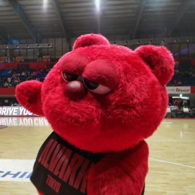 ラーメン大好き🍜、ALVARCARS🗼八王子ビートレインズ🏀、広島東洋カープ⚾、日本100名城(50城制覇)🏯を巡ってます。