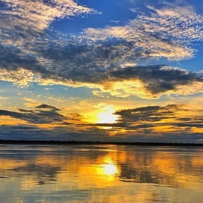 Rooster85737802's profile picture. Type A /
Bass fisherman