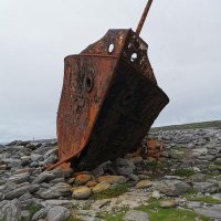 Donal Maloney (@donal_maloney) 's Twitter Profile Photo