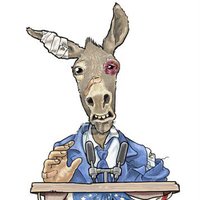 Donkey Basher (@donkeybasher) 's Twitter Profile