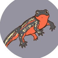 黎祁(れいき) (@reiki3315) Twitter profile photo