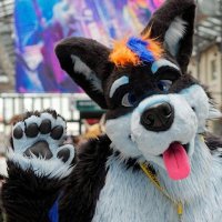 Tiemera Shepherd (@sheppy_tiemera) 's Twitter Profile