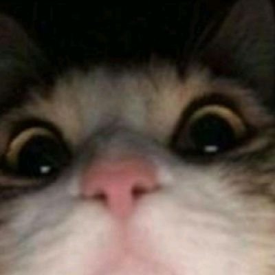 Manuel00alvarez's profile picture. 