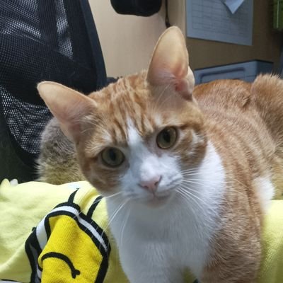 AlexEspinar1's profile picture. 