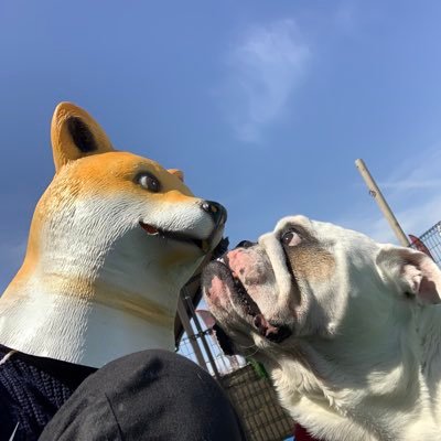 yamaokaossan's profile picture. 【DMU代表】仕事▷▶︎出張パソコンサポート・パソコン講師・UI・Webサイト・動画コンテンツ・撮影編集etc… PC音楽服日本文化犬猫好き。人と心の繋がりを大切に。 #bokkigun Web担当 メインSNS Instagram