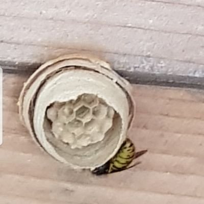 Touretterara's profile picture. ...