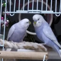 pee (@pee76345391) 's Twitter Profile Photo pee (@pee76345391) 's Twitter Profile Photo