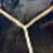 uhhhh (@unkownoxide) Twitter profile photo uhhhh (@unkownoxide) Twitter profile photo