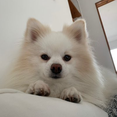 Olivier31890302's profile picture. TDM