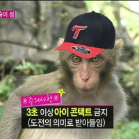 ⚾️스톨🍁 (@bbekcbwque1jrd2) 's Twitter Profile Photo ⚾️스톨🍁 (@bbekcbwque1jrd2) 's Twitter Profile Photo