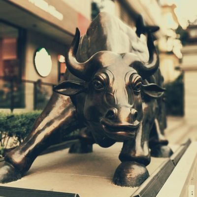 ScalpingPivot's profile picture. Expiry Options Trading | Focus on Execution & Strict Risk Management