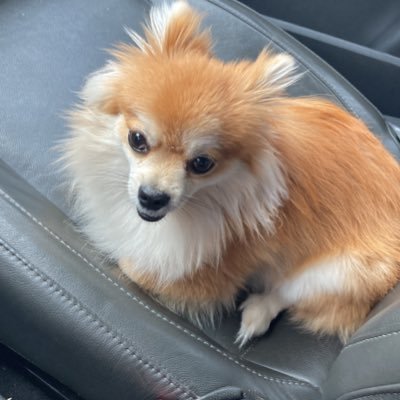 PLSTORE4's profile picture. in love with nfts