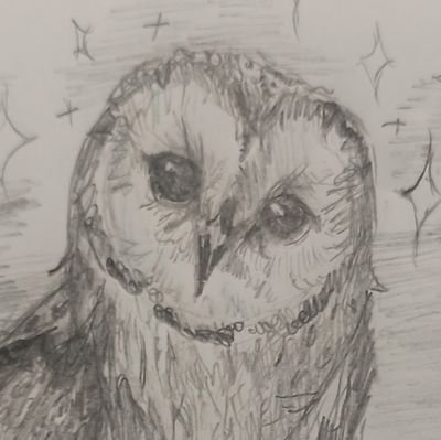 SleepyOwl Artistさんのプロフィール画像