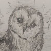 SleepyOwl Artist(@Sleepyowl_art) 's Twitter Profile Photo