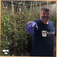 Remo Wayne (@remo420wayne) 's Twitter Profile Photo Remo Wayne (@remo420wayne) 's Twitter Profile Photo