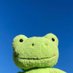 froggo memes (@kinkyfrogmemes) Twitter profile photo froggo memes (@kinkyfrogmemes) Twitter profile photo