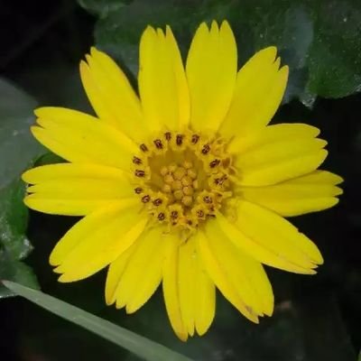 MdAliHosanBabu2's profile picture. Hard Work