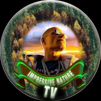 Impressive Nature TV (@thomasklumann1) 's Twitter Profile