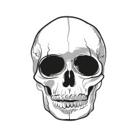 BORED DEAD (@nftcollection1k) 's Twitter Profile