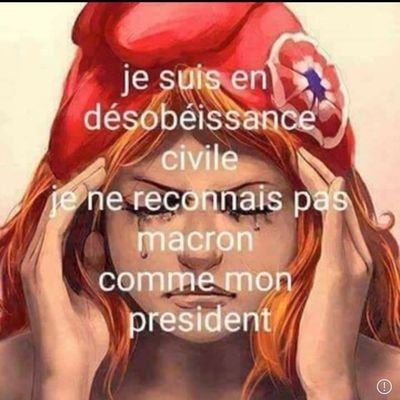 Sous citoyenne fière et je t'emm..de ✊✊