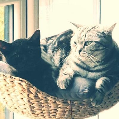 maxencewarzecha's profile picture. Technical Lead at Empirys.