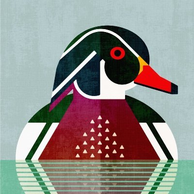 CrowsEatDedRats's profile picture. Ok