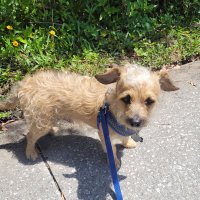 jc (@jrclarke413) 's Twitter Profile Photo