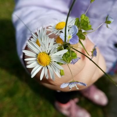 GzdeKaradeniz61's profile picture. Physik  und Mathematik Lehrerin