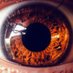 DM. Iridology (@diridology) Twitter profile photo DM. Iridology (@diridology) Twitter profile photo
