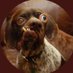 BoozeHound🥃 (@hound_crypto) Twitter profile photo BoozeHound🥃 (@hound_crypto) Twitter profile photo