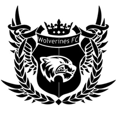 Wolverines FC ⚽️ @MASLorg
3-time #WilsonCup 🏆 winner (2013, 2018, 2019)