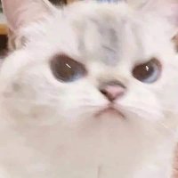 Mari (She/Her) (@marii_9899) 's Twitter Profile