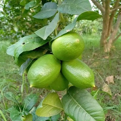 rjc7860's profile picture. 