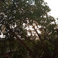 Parejanew2.2.1 (@2parejanew2) 's Twitter Profile